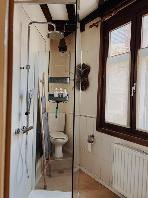 Romantic Unesco Medieval House In The City Center ヘント エクステリア 写真